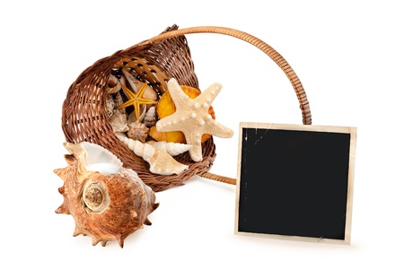 Marine still life of some seashells in basket and paper card, isolated on white.の写真素材