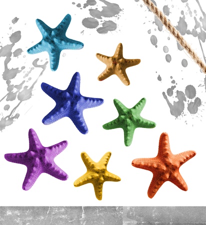 Abstract image of few colorful seastars decorated with monochrome stains, isolated on white の写真素材