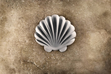Metal scallop on a stone background 
