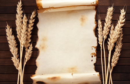 Worn out paper scroll and few ears of wheat on wooden background.の写真素材