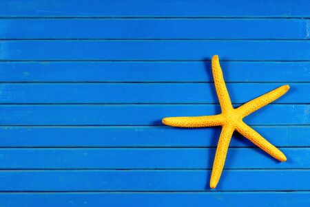 Yellow sea star on a blue wooden background.の写真素材