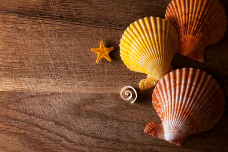 Few marine items in beautiful composition on a wooden  background.