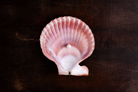 Clam with pearl.