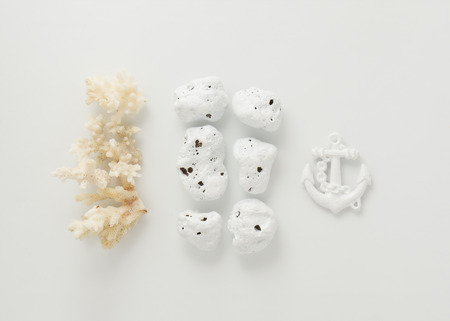 White ocean themed items on a white background.の写真素材