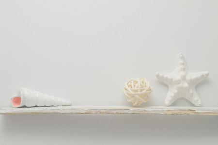 Few marine items on a shelf over white wall.の写真素材