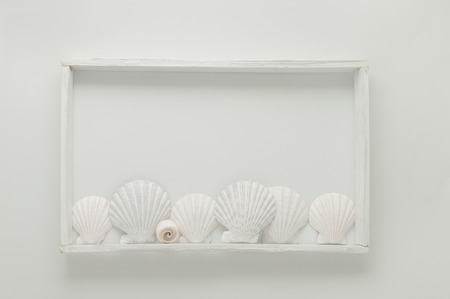 Few marine items in a frame over white wall.の写真素材