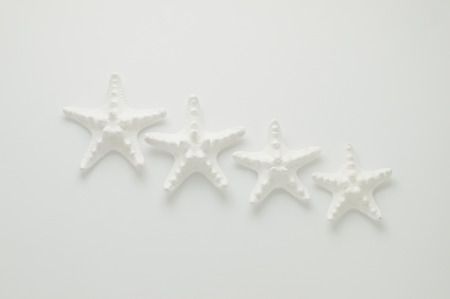 White sea stars on a white background.