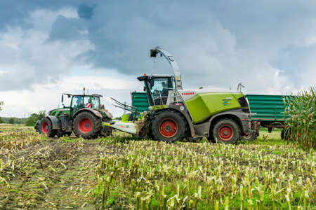 Esens, Germany - October 07, 2020: Side view of two perfectly working together corn harvesters consisting of a corn chopper and a tractor with a tipping trailer under a heavily cloudy sky.のeditorial素材