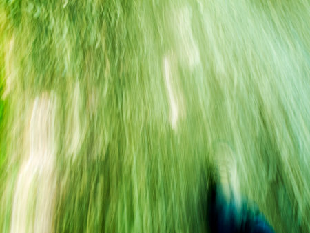 Blurred grasses caused by long exposure during a walk in summer.の写真素材