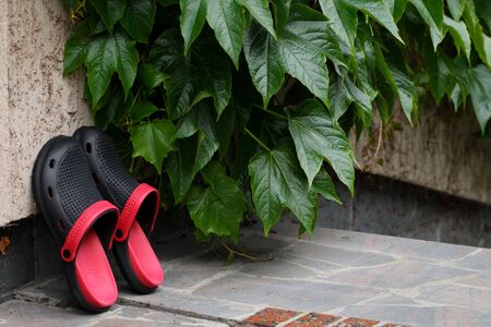 Pair of slippers made â€‹â€‹of plastic