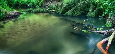 stiil water. Small river Isloch flowing through the forest.の写真素材