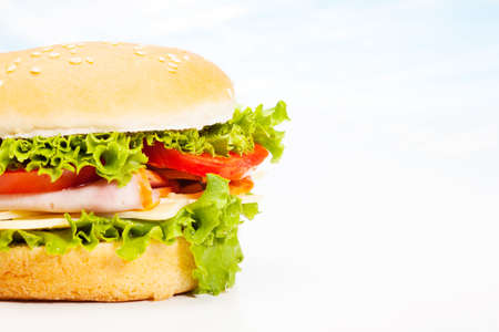 Closeup of sandwichの写真素材