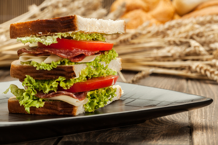 Ham and cheese sandwiches on a plateの写真素材