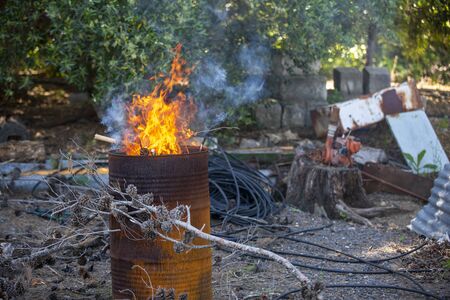 beautiful campfire in drum for preparing calsots in the fieldの写真素材