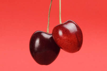 Sweet red cherry on red backround. Studio shoot.