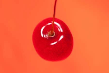 Sweet red cherry on red backround. Studio shoot.の写真素材