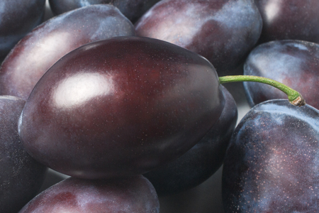 Fresh plum on dark background. Studio shoot.の写真素材