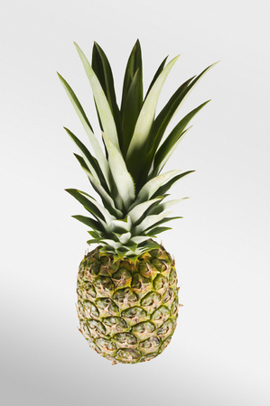 Pineapple. Tropical Fruit. White Background. Studio shoot.の写真素材