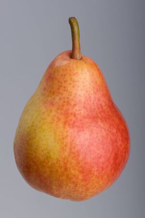 Ripe Red Pear on grey background, Studio shoot.の写真素材