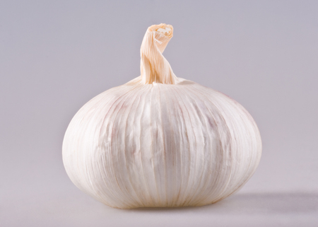 Single whole white garlic on white background. Studio shoot.の写真素材