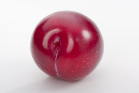 Red plum on white background. Studio shoot.の写真素材