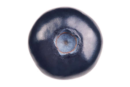 Single blueberry on white background. Studio shoot.