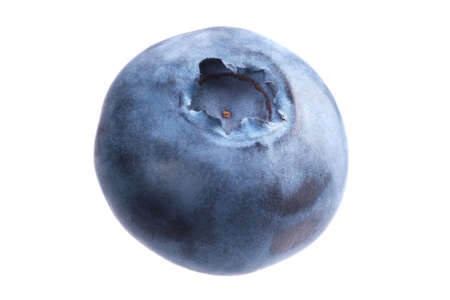 Single blueberry or huckleberry on white background. Studio shoot.の写真素材