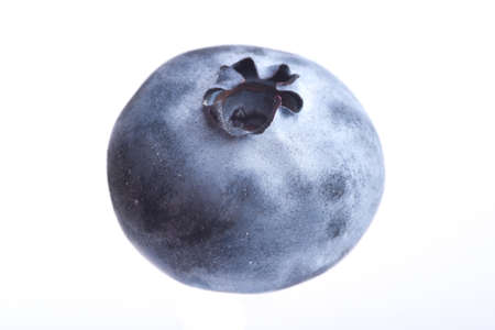 Single blueberry or huckleberry on white background. Studio shoot.の写真素材