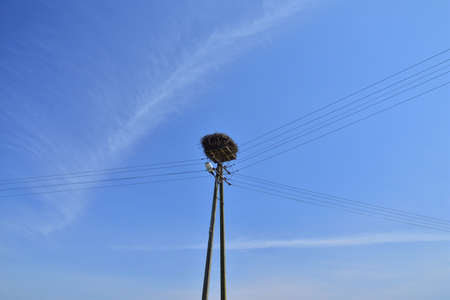 Stork nest on an electric pole against the sky.の写真素材