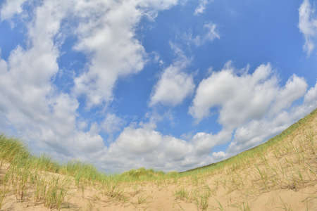 Seaside dune and grass in fisheye lens. Clouds in the sky.
