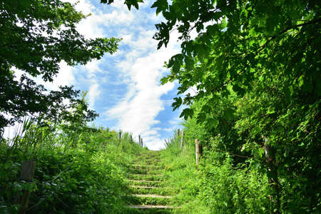 Natural wooden stairs complemented by gravel among the trees in the hot summer south. Summer.