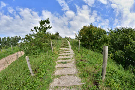 Natural wooden stairs complemented by gravel among the trees in the hot summer south. Summer.