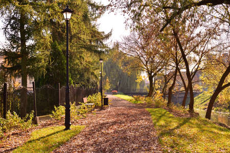 Alleys and lamps in autumn, carpets of yellow, brown and red leaves. Autumn.