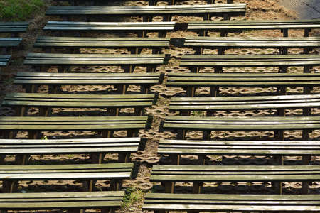 Benches in the amphitheater on a sunny day under the shade of trees. Summer.