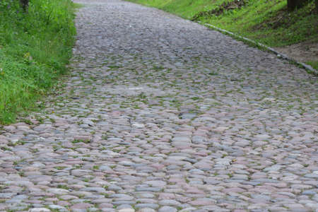 A road paved with stones uphill among grasses and trees. Summer.