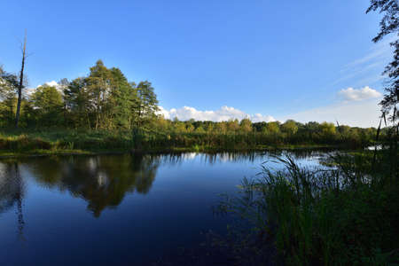 River, trees, sky and clouds reflecting in the water on a calm day. Relaxation.の写真素材