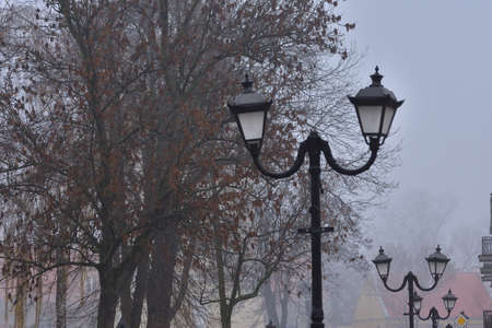 Street lamps on the pedestrian paths in an autumn park among the colorful leaves on a foggy day.の写真素材