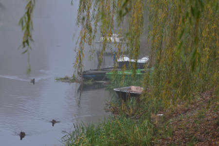 A boat by the river bank in the fog under a willow tree on an autumn
