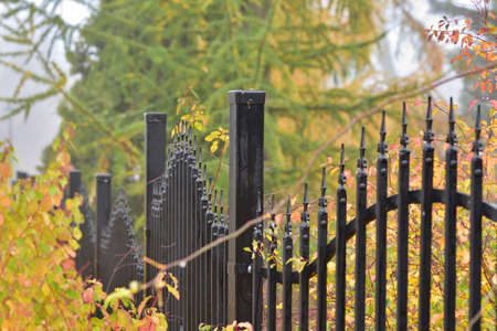 Metal fence among autumn plants on a cloudy day.の写真素材