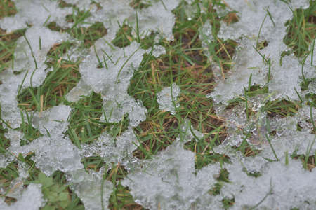 Green grass under ice and snow on a cloudy autumn day. Winter.の写真素材