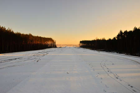 Snow-covered field between forests at the edge of the frame. Winter.の写真素材