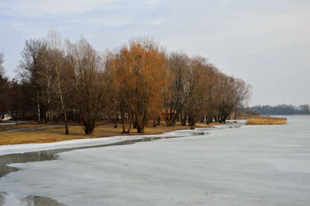 Frozen lake shore, snow-covered trees on a frosty sunny day. Winter.の写真素材