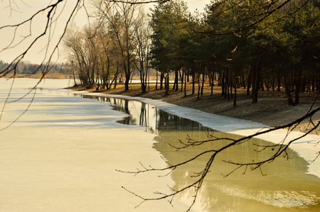 Frozen lake shore, snow-covered trees on a frosty sunny day. Winter.の写真素材
