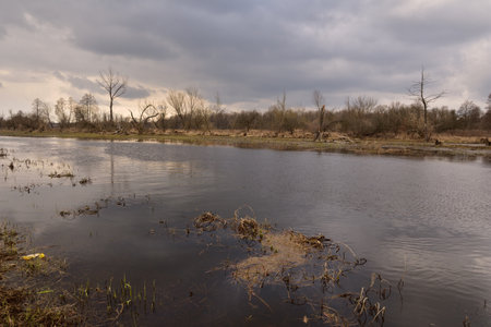 High water in the river floods meadows and agricultural wastelands on a cloudy spring day. Day.の写真素材