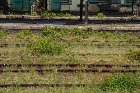 Old, rusty railway tracks on a siding overgrown with grass.の写真素材