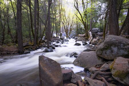 A secluded cascade in the forest in Yosemite National Park in springの写真素材