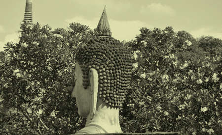 Buddha imageの写真素材