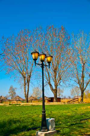 headlights in the parkの写真素材