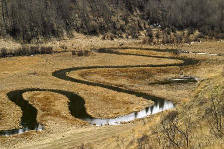 meander of natural creek の写真素材