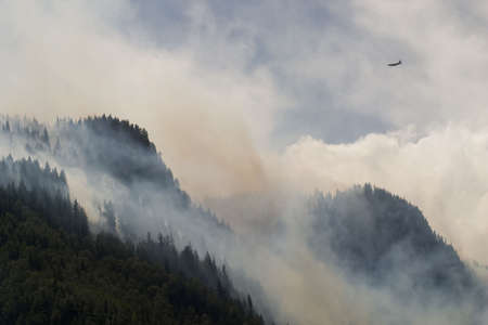 forest fire in mountain forestの写真素材